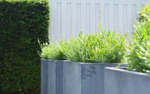 Plantenbakken met siergras